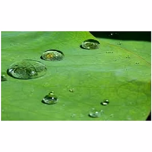 Water Proofing and Heat Sealability Latex for Paper