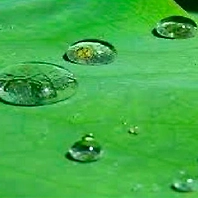 Water Proofing