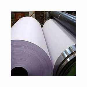Poly Coated Maplitho Paper