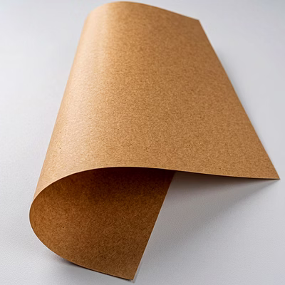 Poly Coated Kraft Paper-5