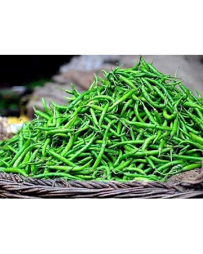 Green Chilly-11596340
