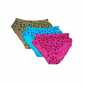 Premium Lounge Wear Women Inner Elastic Panties D-no-41