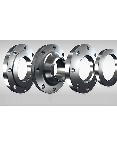 Stainless Steel Flanges-12667917