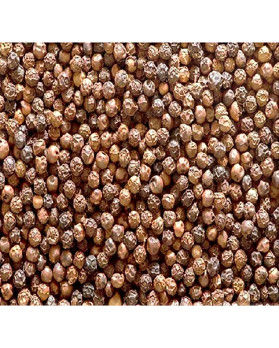 Organic Black Pepper Powder-1