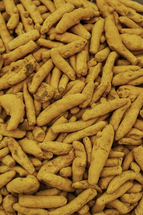 Organic Turmeric Finger-3