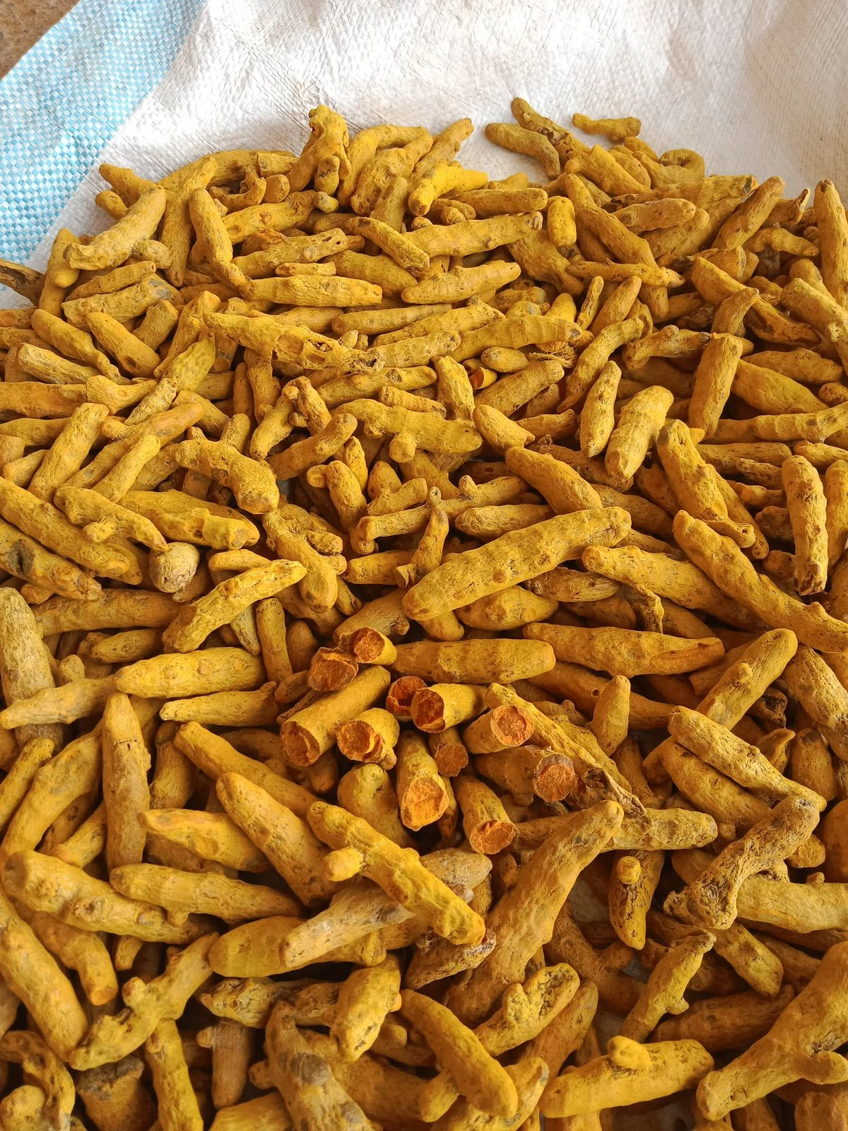 Organic Turmeric Finger-1