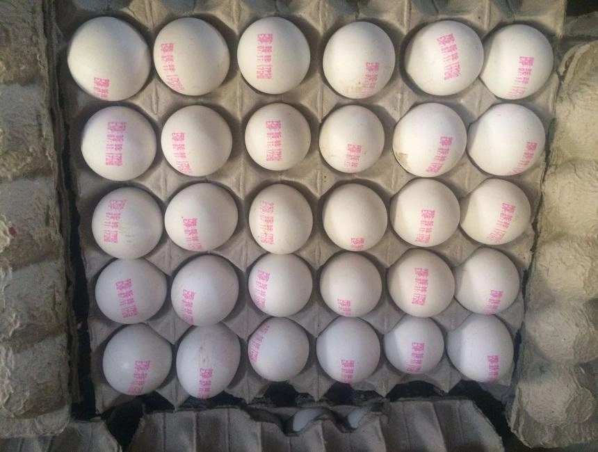 Table Eggs-11680846