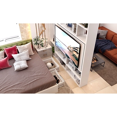 A Modern Living Room Cum Bedroom-4