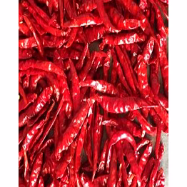 dried red chilli