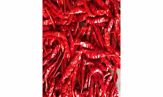 Dried Red Chilli