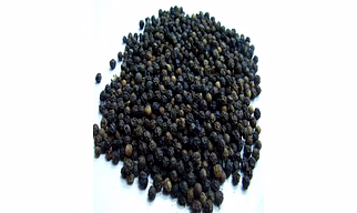 Black Pepper