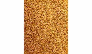 Yellow Mustard Seeds