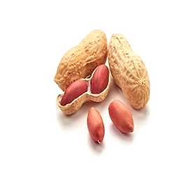 Peanuts / Groundnuts