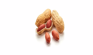 Peanuts / Groundnuts