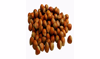 Hazelnuts