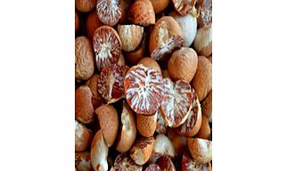 Betel Nuts / Areca Nuts