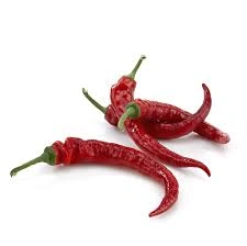 Indian Teja Red Chilli-1