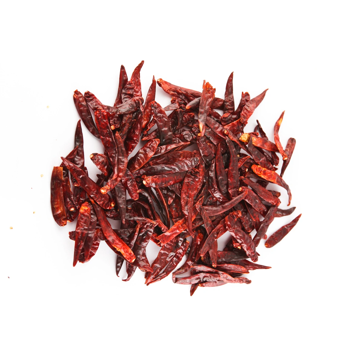 Indian Teja Red Chilli-11651028