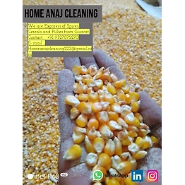 Home's Maize Maize