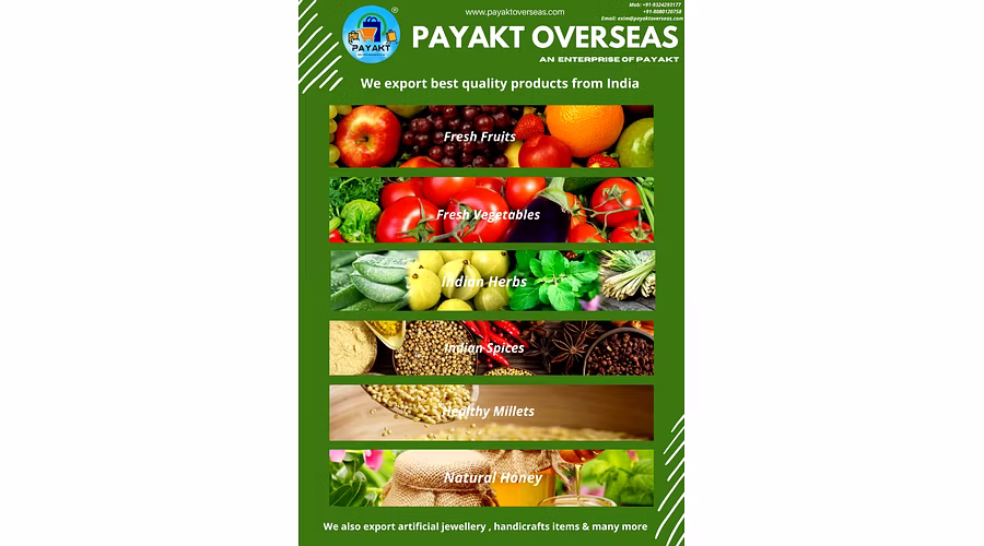PAYAKT