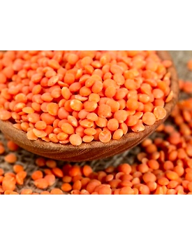 Red Lentils