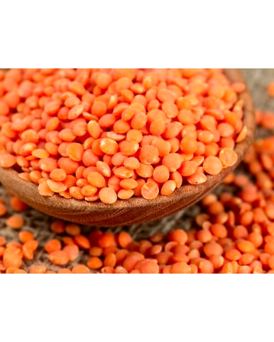 Red Lentils-12654131
