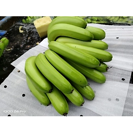 Cavendish Banana Exporter and Supplier from India - Naskar Exim