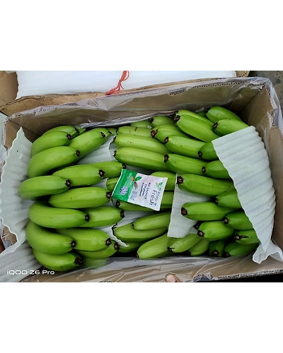 Cavendish Banana Exporter and Supplier from India - Naskar Exim-5