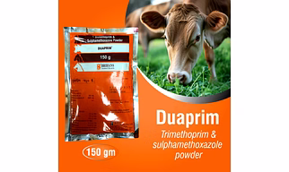 Duaprim- RX Trimethoprim & Sulphamethoxazole Powder for poultry