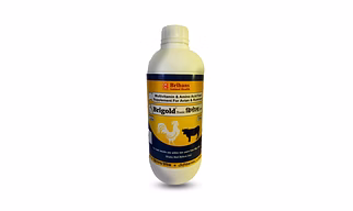 Brigold Tonic- Multivitamin & Amino Acid Feed Supplement For Avian & Ruminant