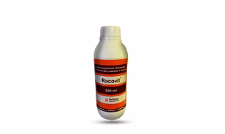 Recovit Feed Supplement of Essential Vitamins