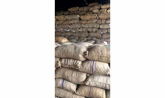 Raw Cashew Nuts