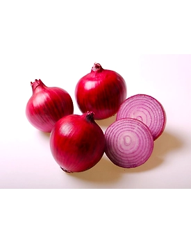 Onion - Big