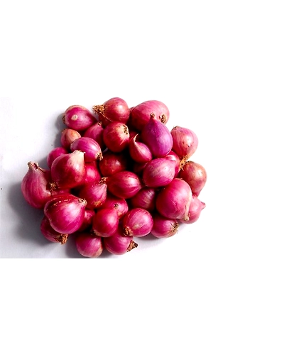 Onion - Small-11650164