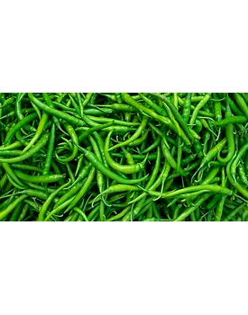 Chilli - Green