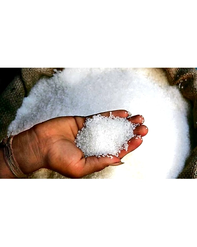 Non-Basmati Rice , Basmati Rice-5