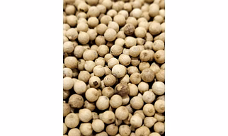 WHITE PEPPER