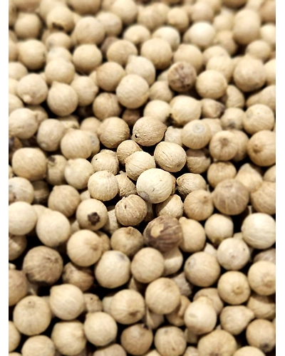 WHITE PEPPER-12593436