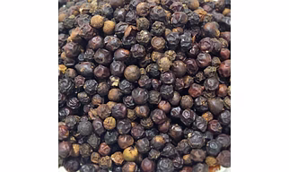 BLACK PEPPER