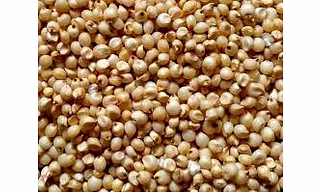 Indian Millet