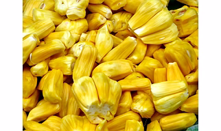 Jackfruit