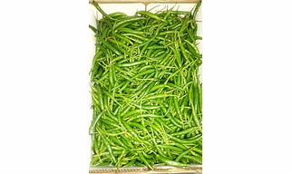Green Chilli 