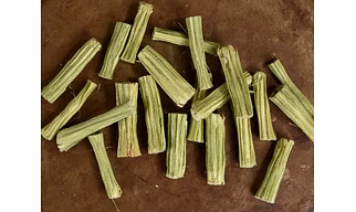 Freeze Dried Drum Stick