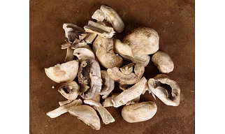 Freeze Dried Mushroom