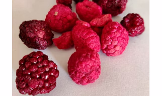 Freeze Dried Red Berries