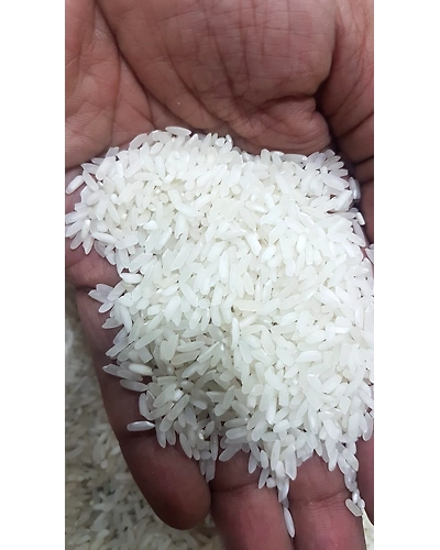 IR 64 NON BASMATI WIGHT RICE-11660726