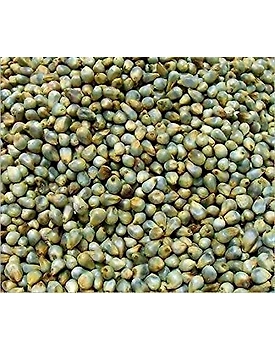 Green Millet