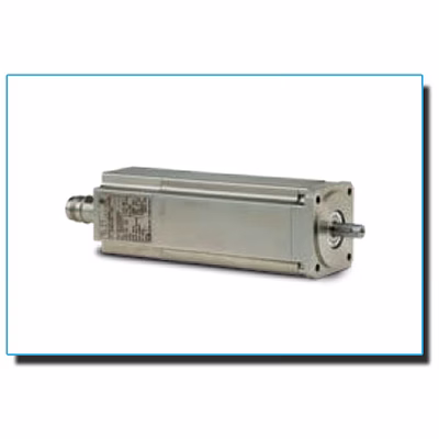 Ac Brushless Stainless Steel Motors (Ssbsm)-1017