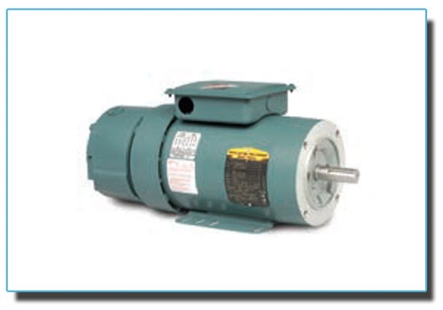 D-Series Brake Motors-1022