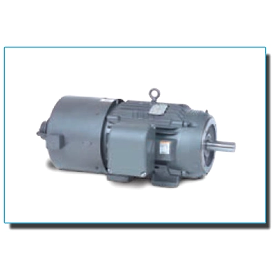 BALDOR Ac Inverter / Vector Duty Motors